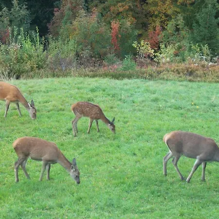 Skalicky 3* Pec pod Sněžkou