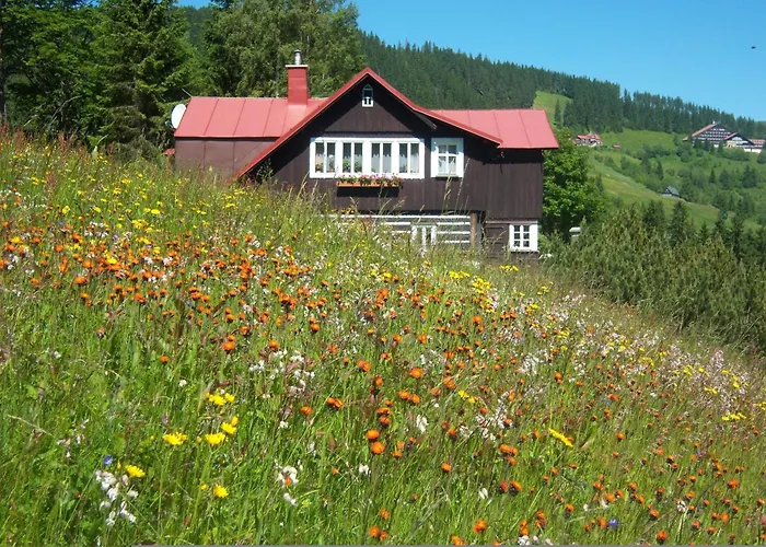 Värdshus Skalicky 3*